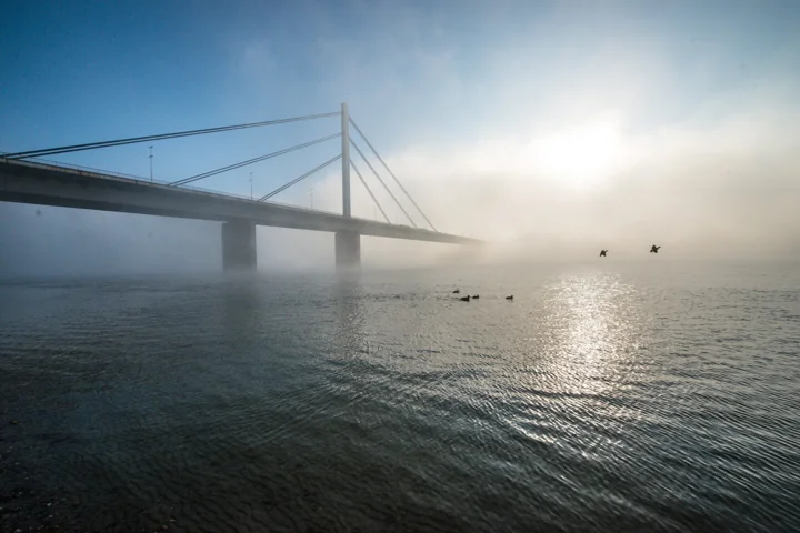 A cable-stayed bridge fading into mist above water with birds in flight