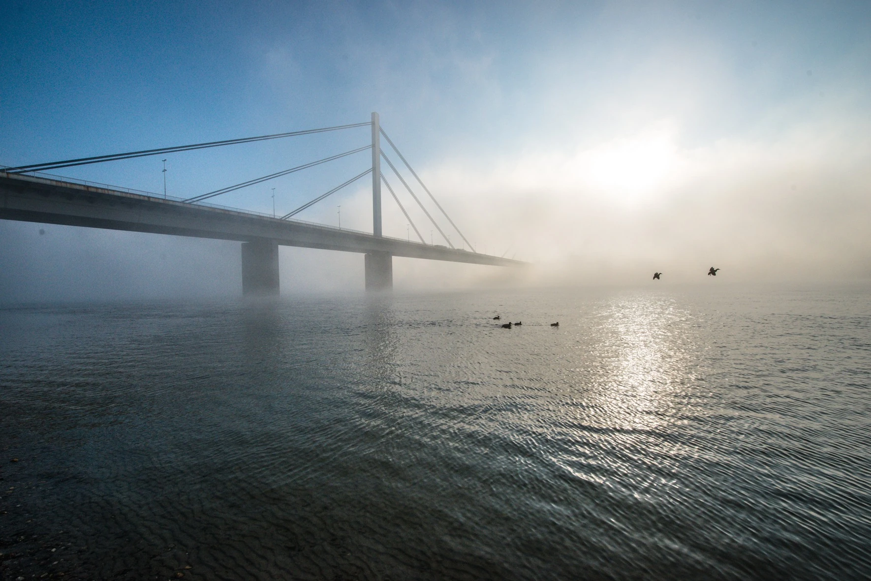 A cable-stayed bridge fading into mist above water